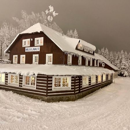 Hotel Bila Labut Horsky Hotylek à Pec pod Sněžkou Extérieur photo
